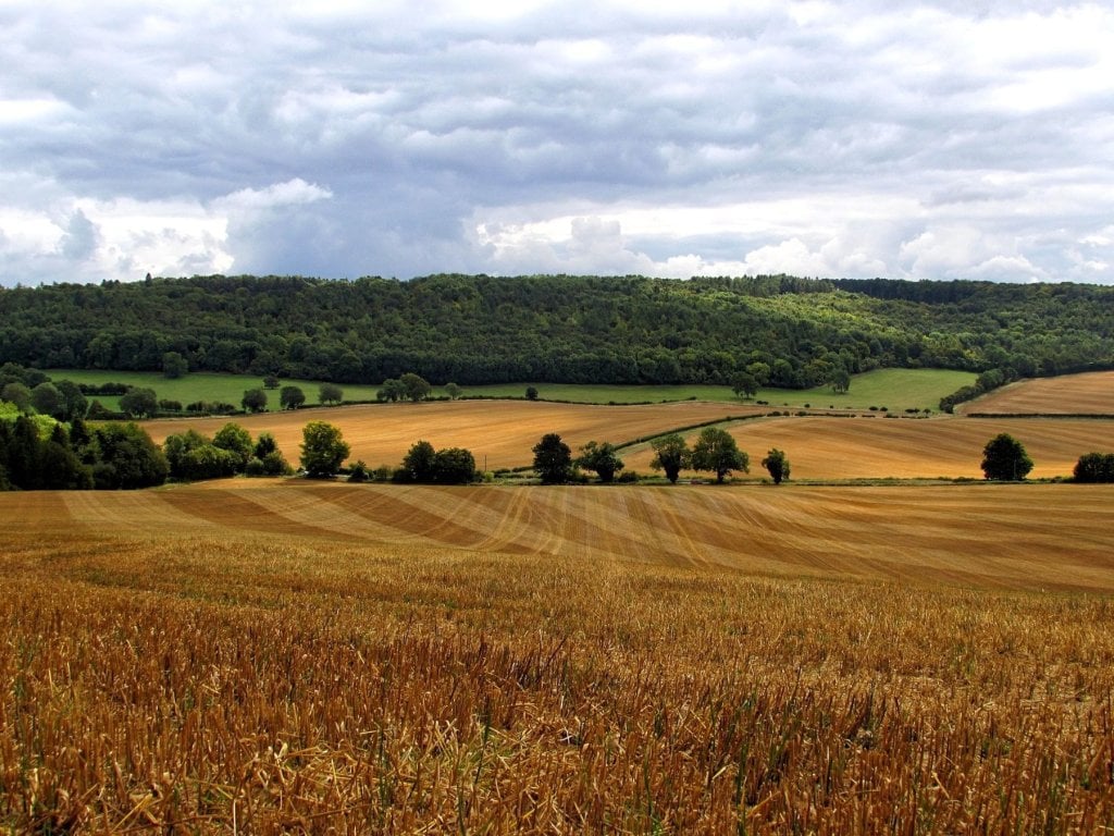 Sell My Land