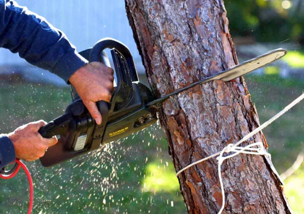 Storm Damage Cleanup In Niceville Florida
